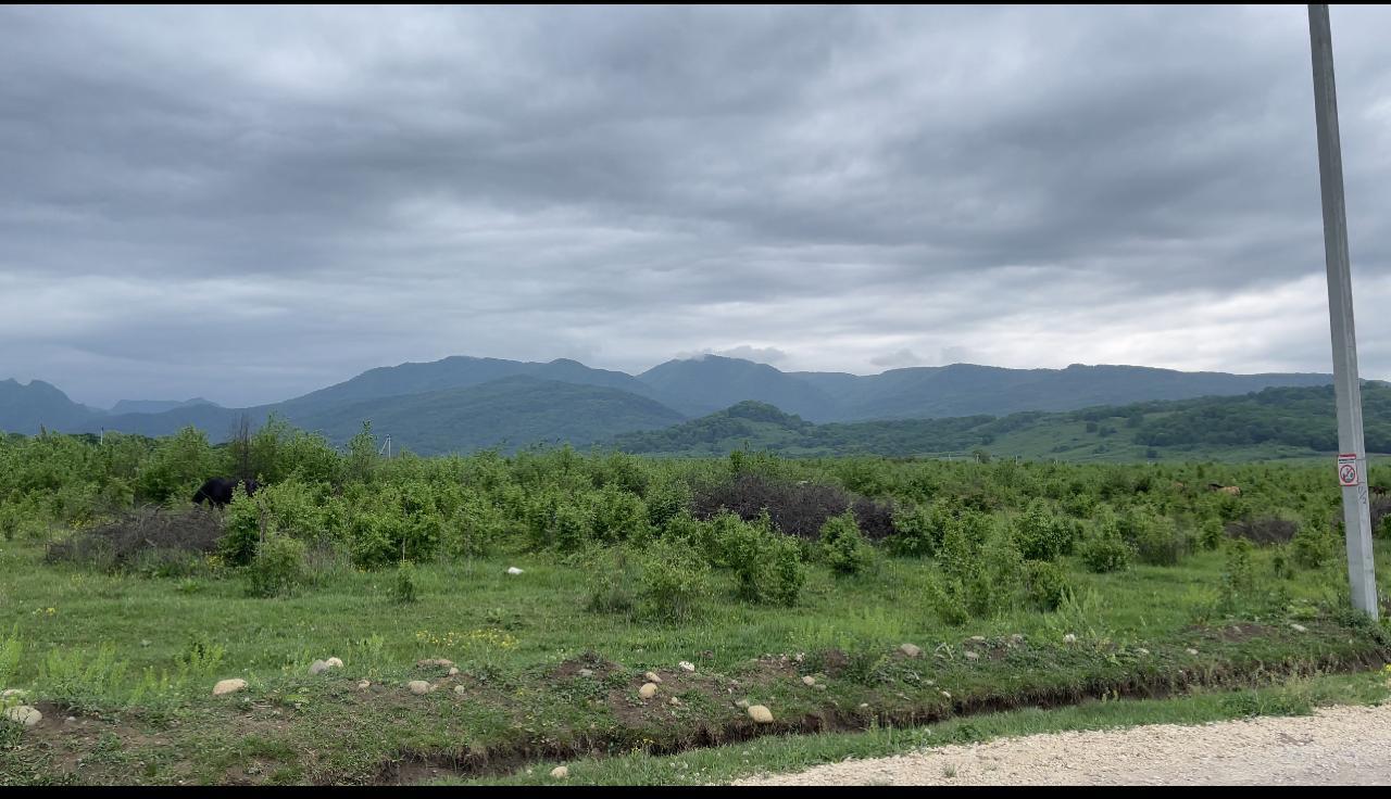 Фото №5: Коммерция 261 м² - Даховская, Прикубанский внутригородской округ, жилой комплекс Западный Город, Восточный, Западный внутригородской округ, Фестивальный, Карасунский внутригородской округ, Гидростроителей, Славянский, мкр. Светлоград, ул. Советская, 20