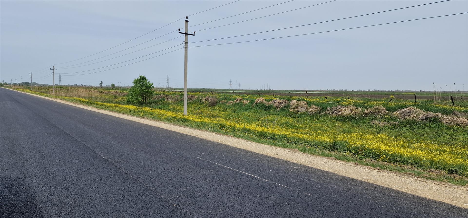 Фото №7: Коммерция 287 м² - Энем