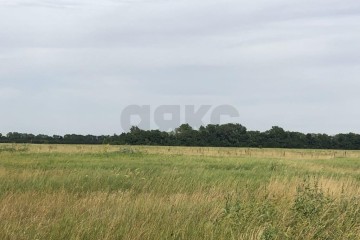 Фото №4: Коммерческая земля 280 сот. - Республика Адыгея (Адыгея) Тахтамукайский район