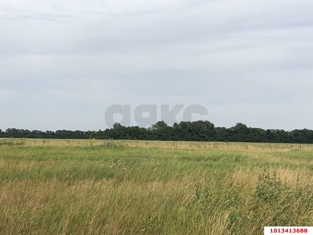 Фото №4: Коммерция 280 м² - Республика Адыгея (Адыгея) Тахтамукайский район