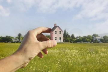 Фото №2: Земельный участок 100 сот. - Новобжегокай, 