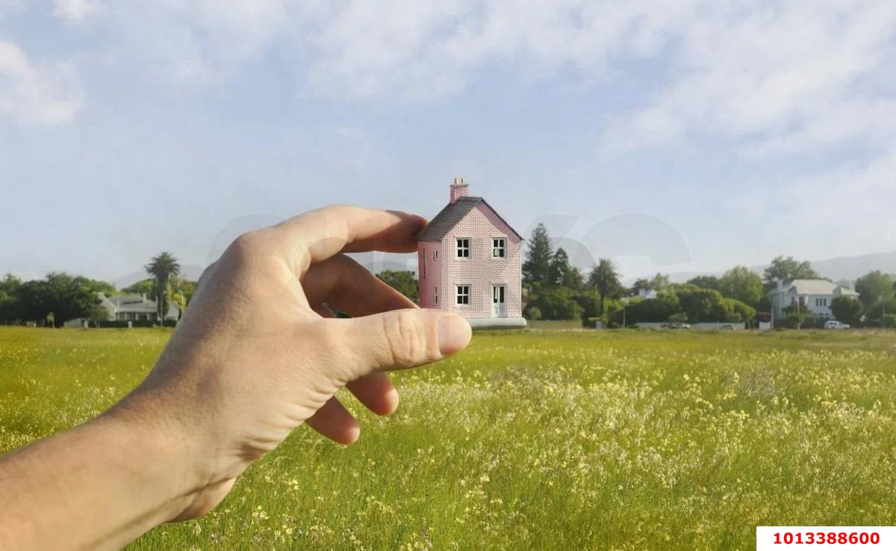 Фото №2: Земельный участок 100 сот. - Новобжегокай