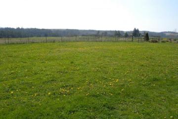 Фото №1: Земельный участок 100 сот. - Новобжегокай, 