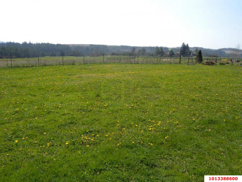 Фото №1: Земельный участок 100 сот. - Новобжегокай