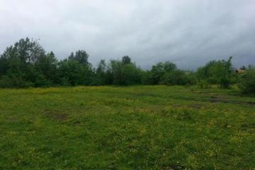 Фото №3: Земельный участок 100 сот. - Новобжегокай, 