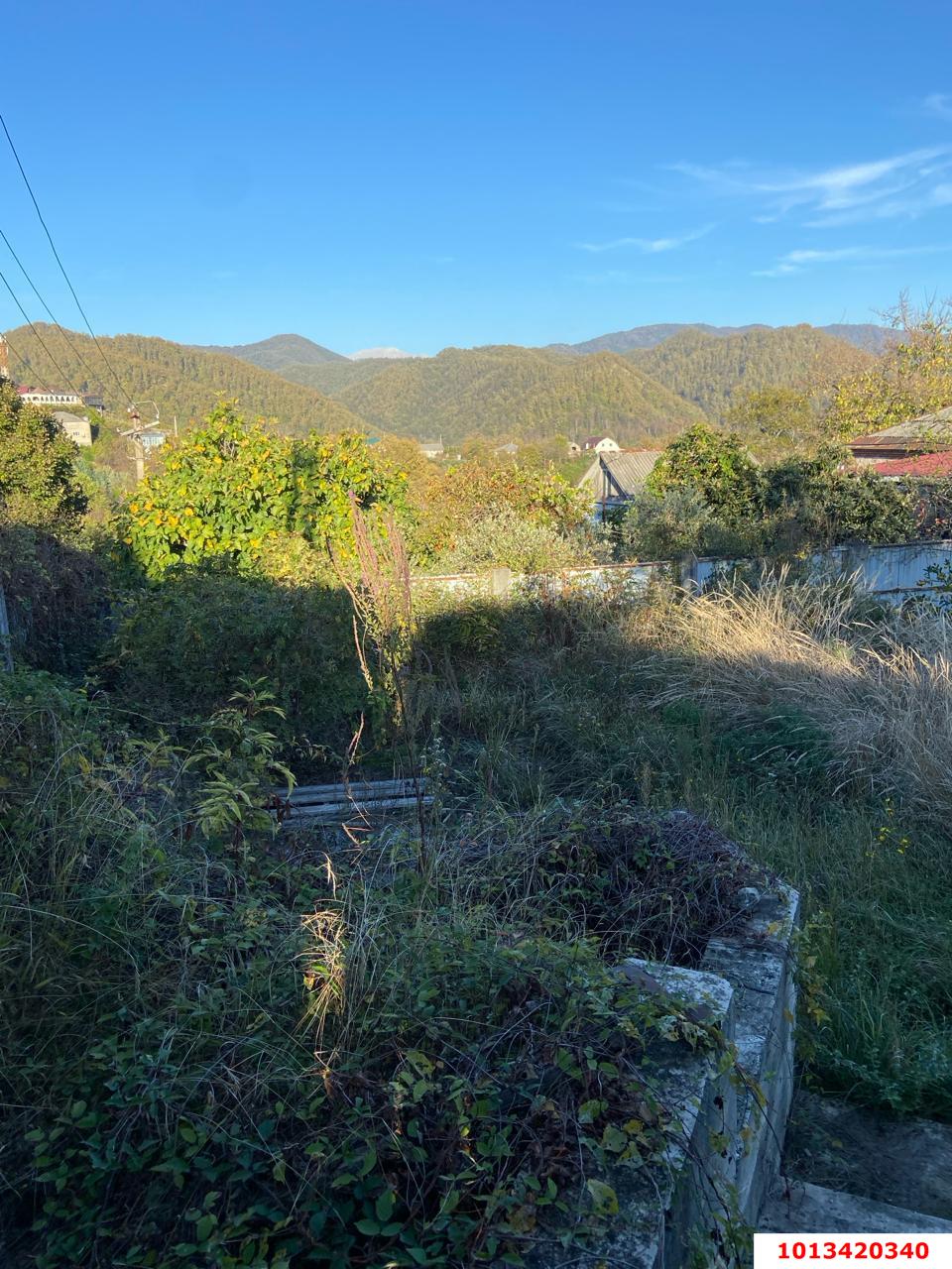 Фото №3: Земельный участок под ИЖС - Сочи, Хостинский, ж/р Хоста, ул. Кедровая, 8