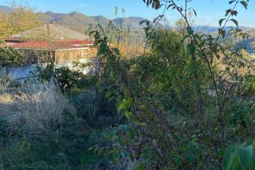 Фото №1: Земельный участок под ИЖС - Сочи, ж/р Хоста, ул. Кедровая, 8