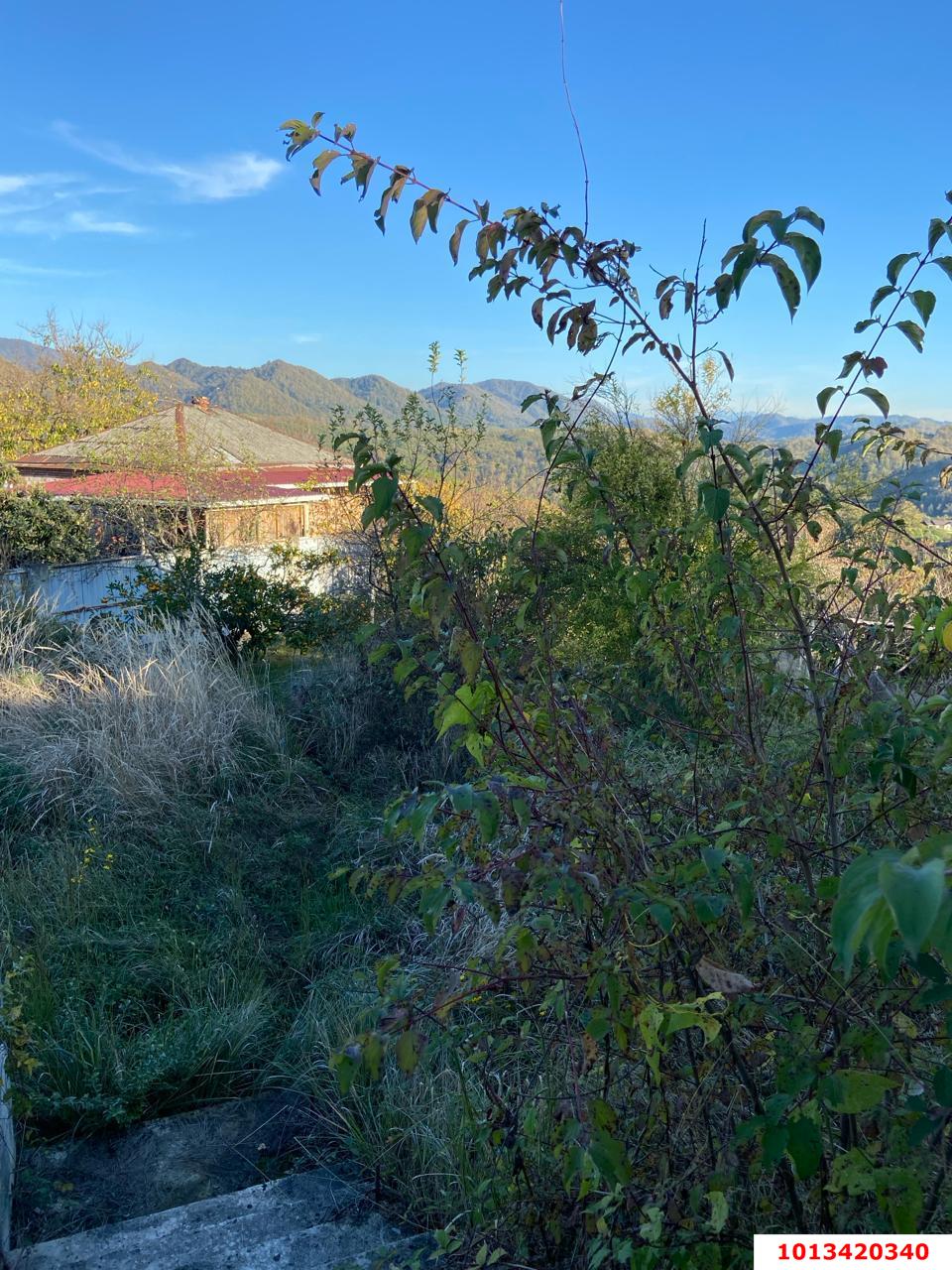 Фото №1: Земельный участок под ИЖС - Сочи, Хостинский, ж/р Хоста, ул. Кедровая, 8