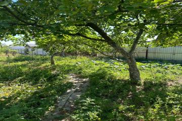 Фото №4: Земельный участок 6.2 сот. - Лотос, мкр. Прикубанский внутригородской округ, ул. Васильковая, 181/1