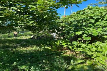 Фото №5: Земельный участок 6.2 сот. - Лотос, мкр. Прикубанский внутригородской округ, ул. Васильковая, 181/1