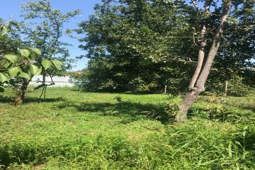 Фото №1: Земельный участок 6.2 сот. - Лотос, мкр. Прикубанский внутригородской округ, ул. Васильковая, 181/1