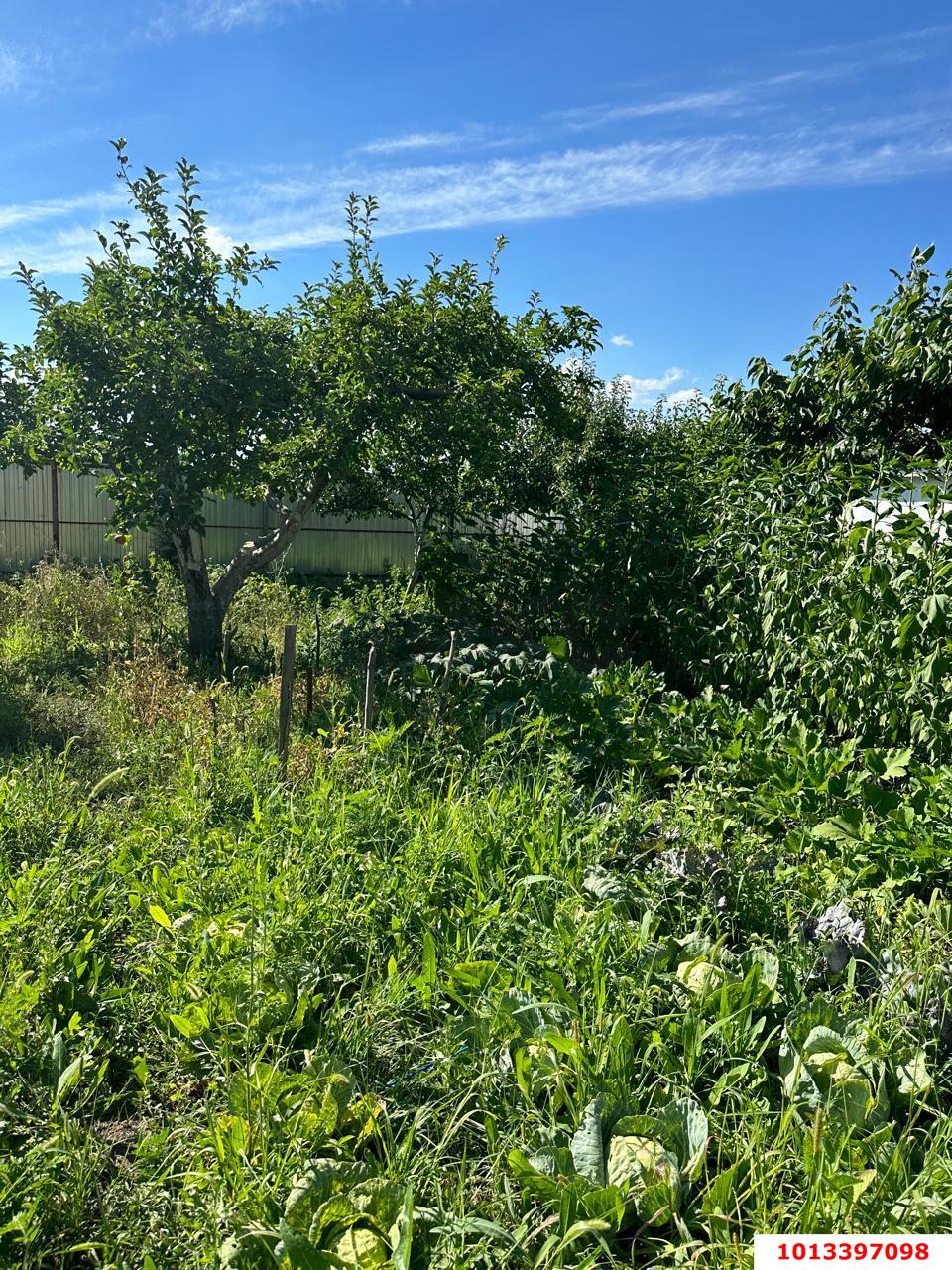 Фото №10: Земельный участок 6.2 сот. - Лотос, мкр. Прикубанский внутригородской округ, ул. Васильковая, 181/1