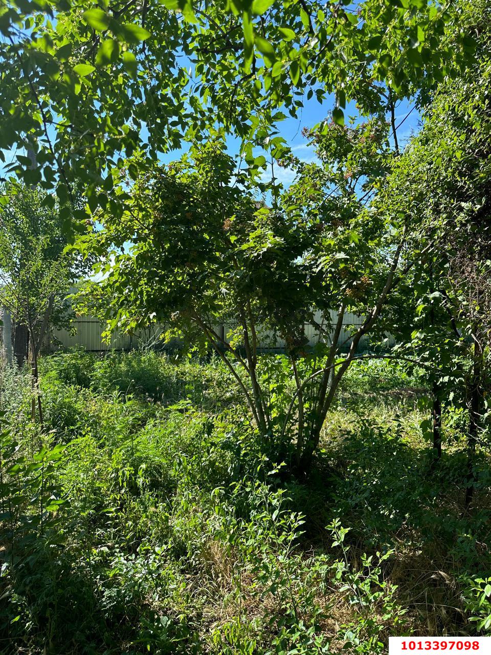 Фото №7: Участок садоводство 6.2 сот. - Лотос, Прикубанский внутригородской округ, ул. Васильковая, 181