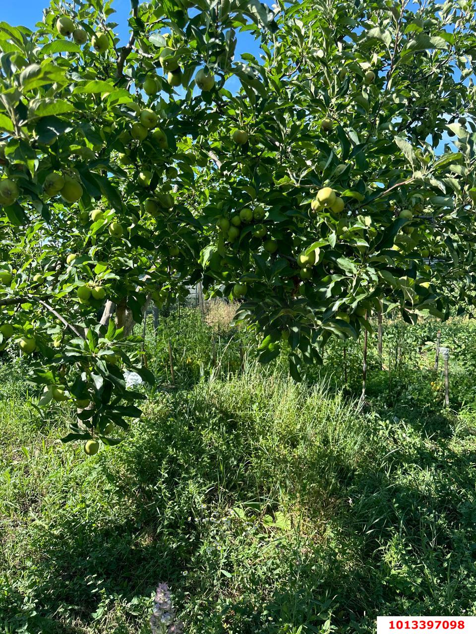 Фото №8: Земельный участок 6.2 сот. - Лотос, мкр. Прикубанский внутригородской округ, ул. Васильковая, 181/1