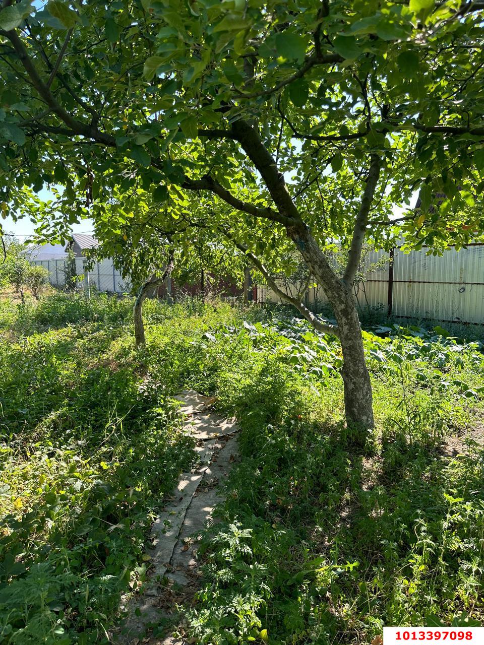 Фото №4: Участок садоводство 6.2 сот. - Лотос, Прикубанский внутригородской округ, ул. Васильковая, 181