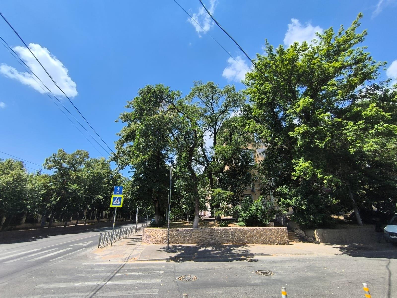 Фото №10: Коммерция 206 м² - Краснодар, Центральный внутригородской округ, мкр. Центральный, ул. Мира, 63