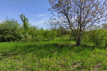 Фото №3: Земельный участок 25 сот. - Понежукай, ул. Дружбы