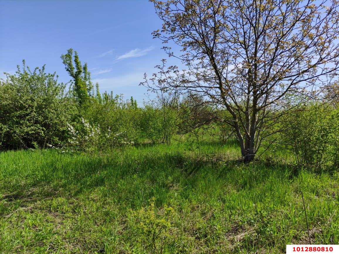 Фото №3: Земельный участок 25 сот. - Понежукай, ул. Дружбы