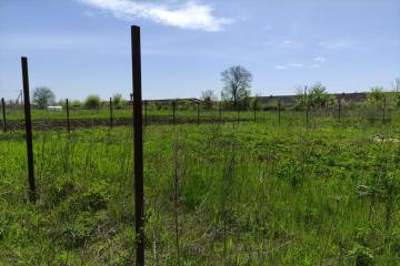 Фото №5: Земельный участок 25 сот. - Понежукай, ул. Дружбы