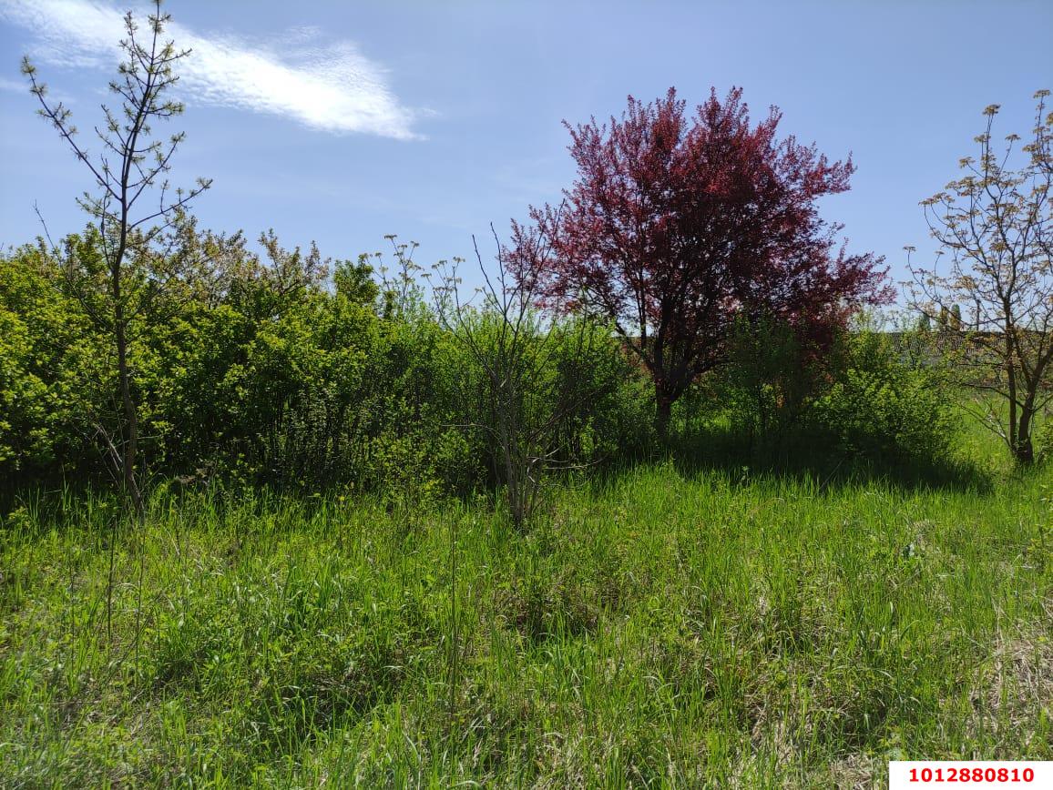 Фото №7: Земельный участок 25 сот. - Понежукай, ул. Дружбы