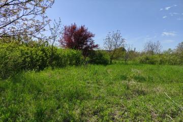 Фото №4: Земельный участок 25 сот. - Понежукай, ул. Дружбы