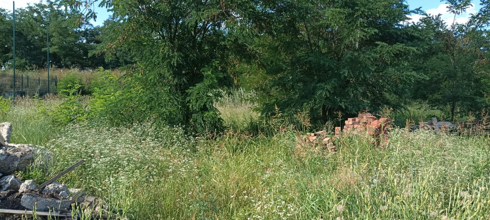 Фото №3: Земельный участок 13.17 сот. - Южный, мкр. Олимпийский, ул. Длинная, 103