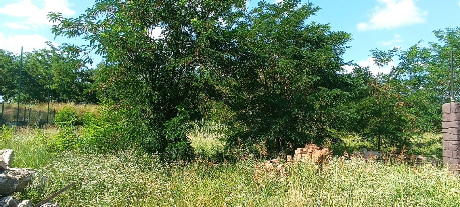 Фото №4: Земельный участок 13.17 сот. - Южный, мкр. Олимпийский, ул. Длинная, 103