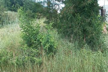 Фото №5: Земельный участок 13.17 сот. - Южный, мкр. Олимпийский, ул. Длинная, 103