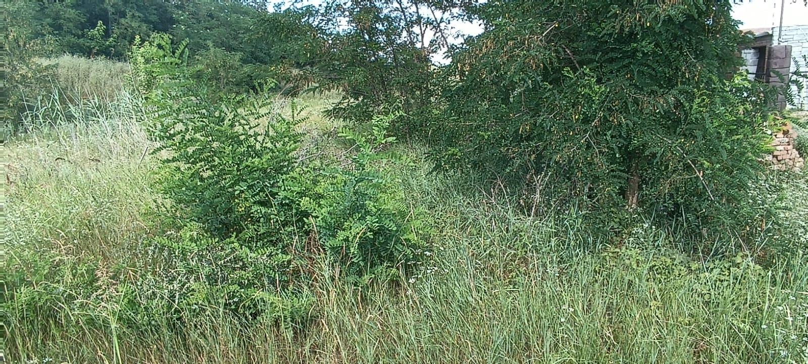 Фото №5: Земельный участок 13.17 сот. - Южный, мкр. Олимпийский, ул. Длинная, 103