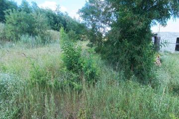 Фото №2: Земельный участок 13.17 сот. - Южный, мкр. Олимпийский, ул. Длинная, 103