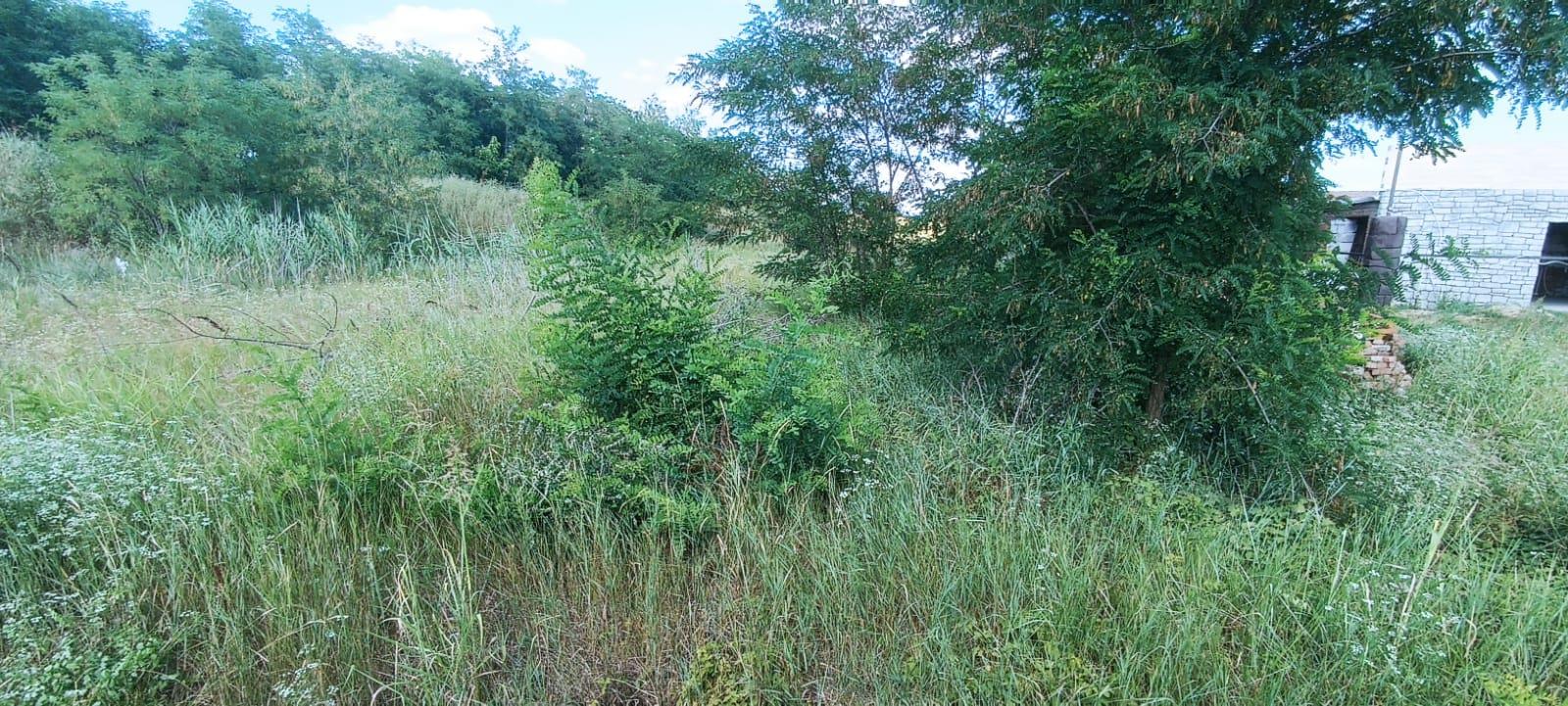 Фото №2: Земельный участок 13.17 сот. - Южный, мкр. Олимпийский, ул. Длинная, 103