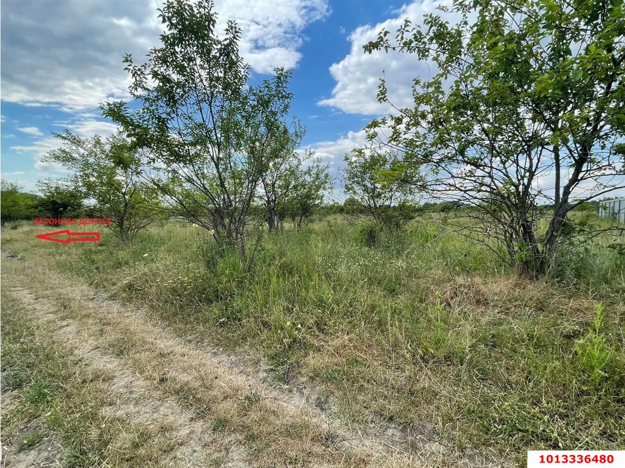 Фото №5: Земельный участок под ИЖС 7 сот. - Козет, СТ Яблонька, ул. Клубничная, 6