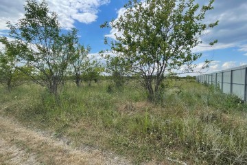 Фото №2: Земельный участок под ИЖС 7 сот. - Козет, мкр. СТ Яблонька, ул. Клубничная, 6