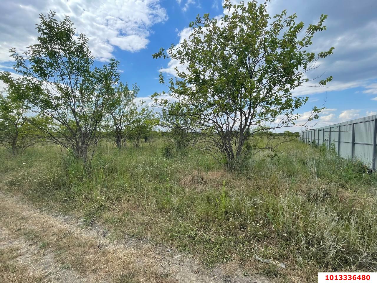 Фото №2: Земельный участок под ИЖС 7 сот. - Козет, СТ Яблонька, ул. Клубничная, 6