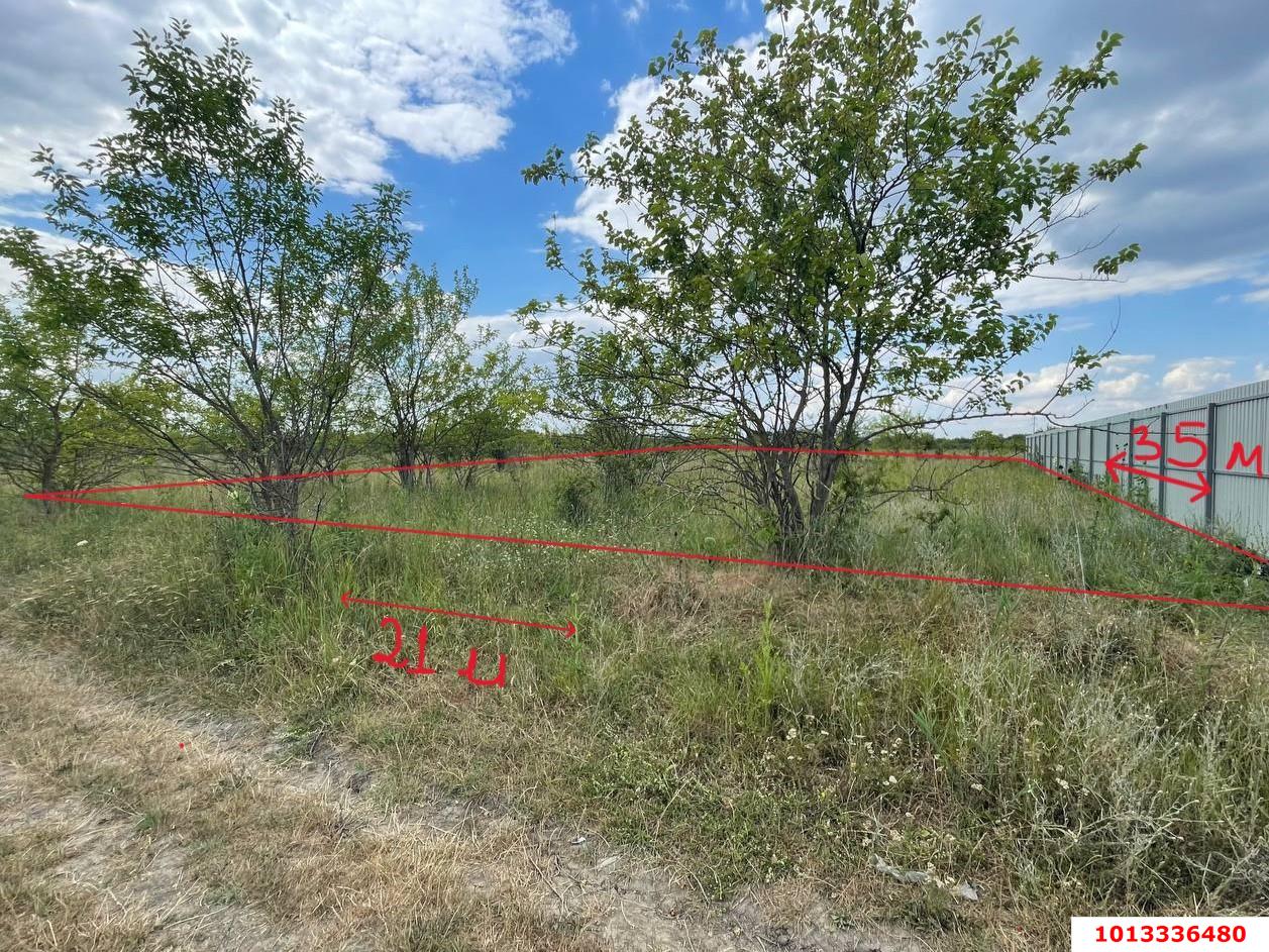 Фото №4: Земельный участок под ИЖС 7 сот. - Козет, СТ Яблонька, ул. Клубничная, 6