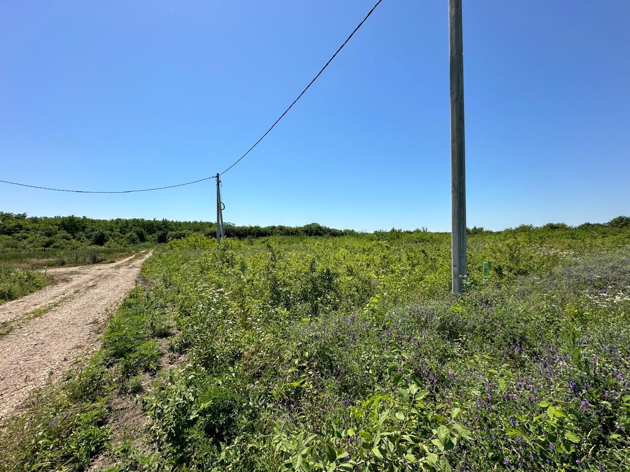 Фото №6: Земельный участок 6 сот. - Старокорсунская, Карасунский внутригородской округ, п. коттеджный  Усадьба Виктория, пр-д Владимирский