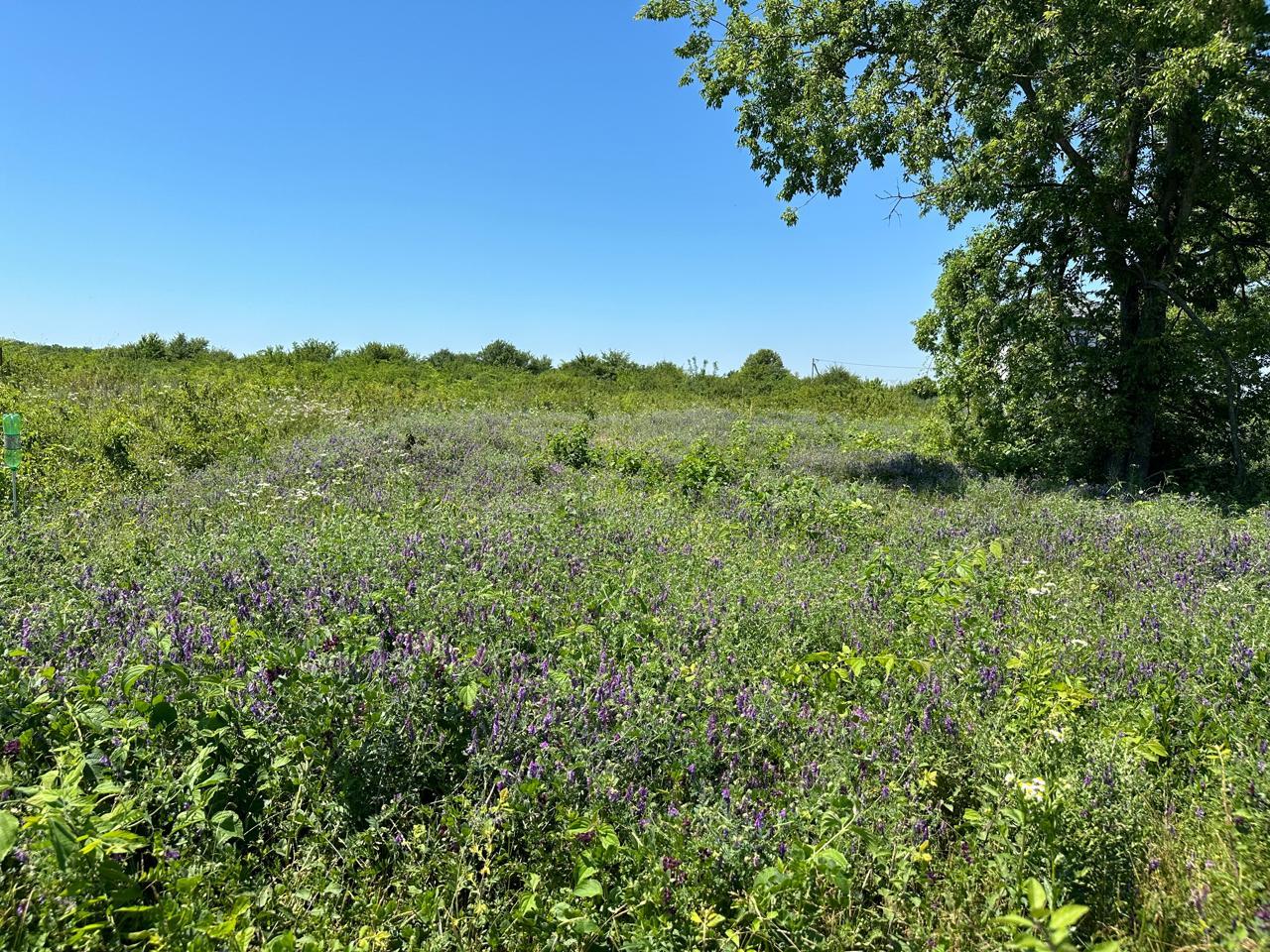 Фото №8: Земельный участок 6 сот. - Старокорсунская, Карасунский внутригородской округ, п. коттеджный  Усадьба Виктория, пр-д Владимирский