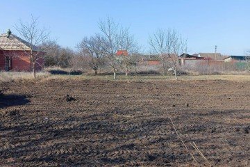 Фото №4: Участок садоводство 4.9 сот. - СНТ Урожайное, мкр. Прикубанский внутригородской округ, ул. Алычёвая, 13