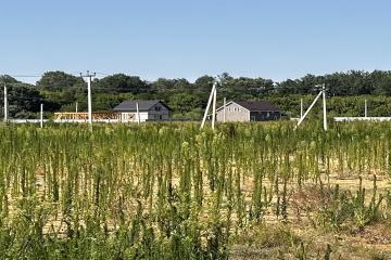 Фото №3: Земельный участок 6.62 сот. - Саратовская, ул. Каштановая, 27