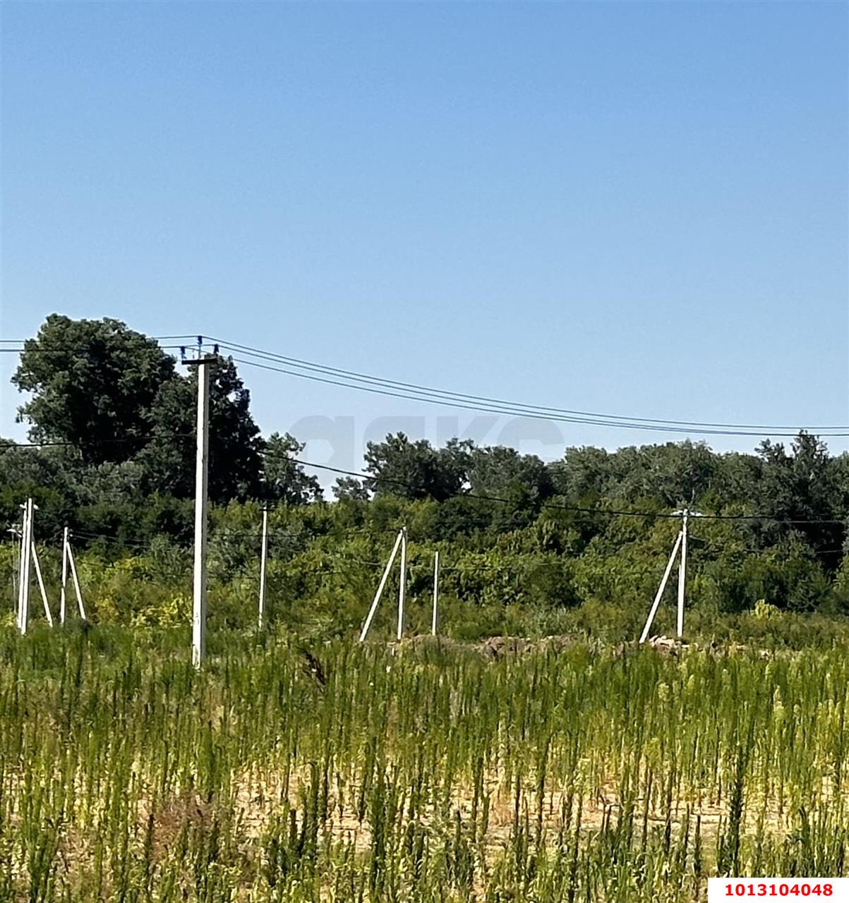 Фото №5: Личное подсобное хозяйство - Саратовская, ул. Каштановая, 27