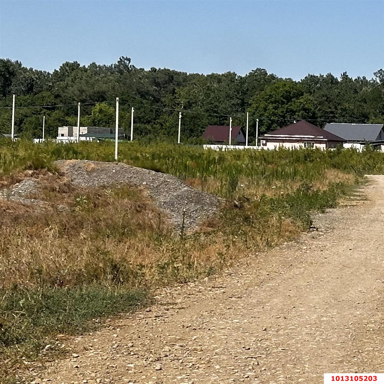 Фото №4: Личное подсобное хозяйство - Саратовская, ул. Каштановая, 27