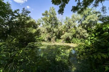 Фото №3: Земельный участок 18.11 сот. - Виктория, мкр. Прикубанский внутригородской округ, пер. Рыбный, 20
