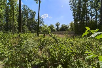 Фото №4: Земельный участок 18.11 сот. - Виктория, мкр. Прикубанский внутригородской округ, пер. Рыбный, 20