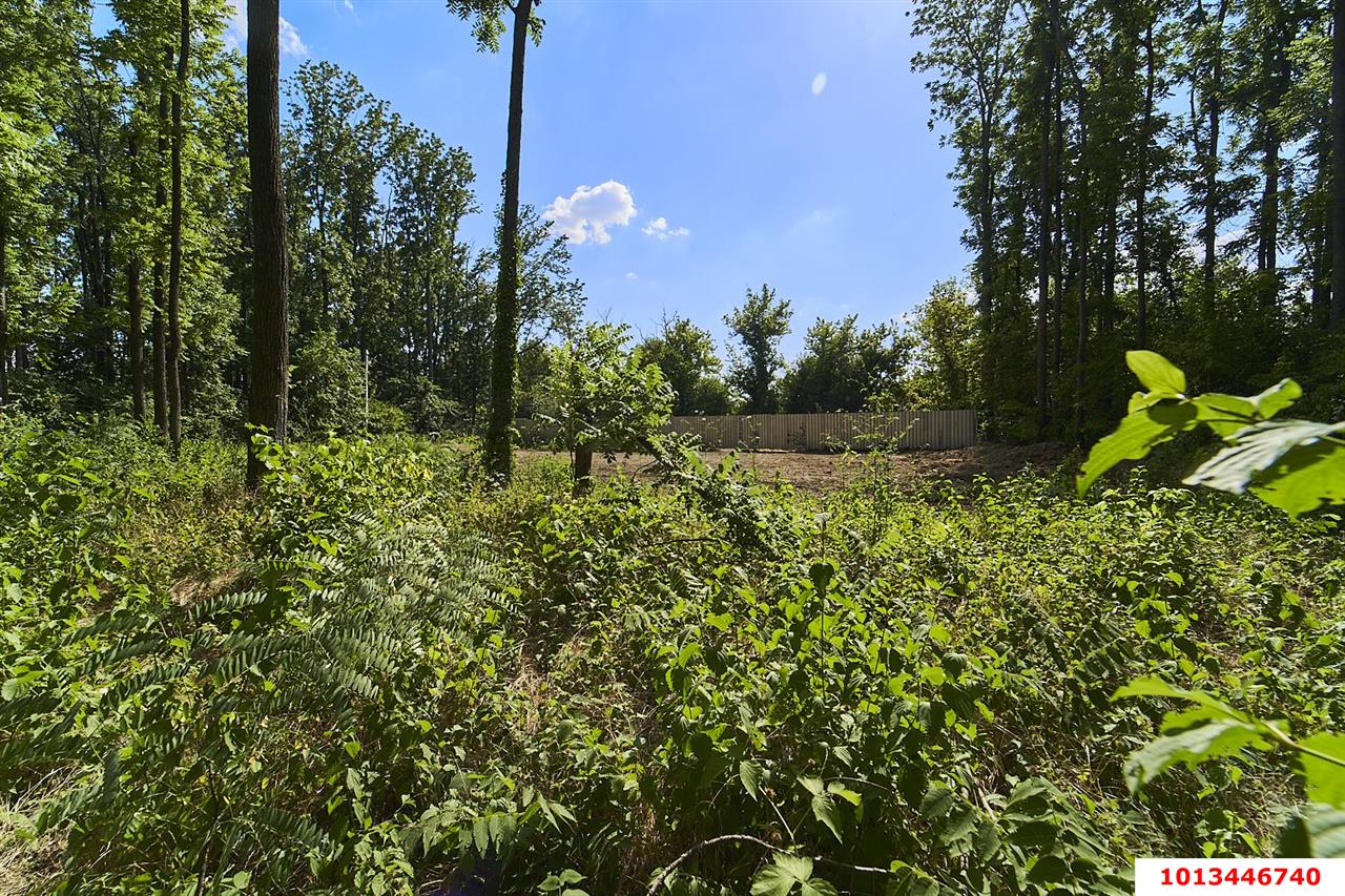 Фото №4: Личное подсобное хозяйство - Виктория, мкр. Прикубанский внутригородской округ, пер. Рыбный, 20