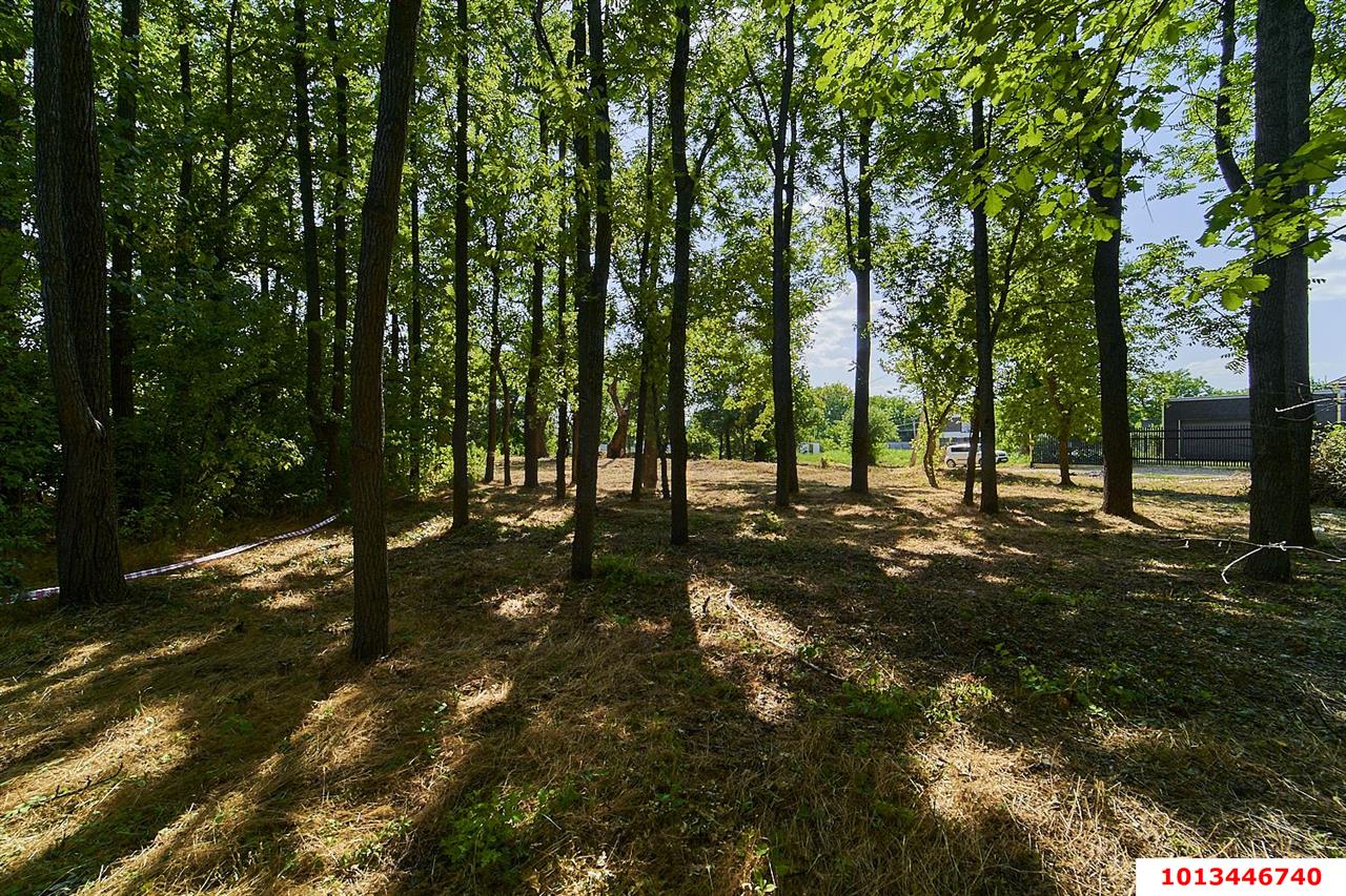 Фото №2: Личное подсобное хозяйство - Виктория, мкр. Прикубанский внутригородской округ, пер. Рыбный, 20