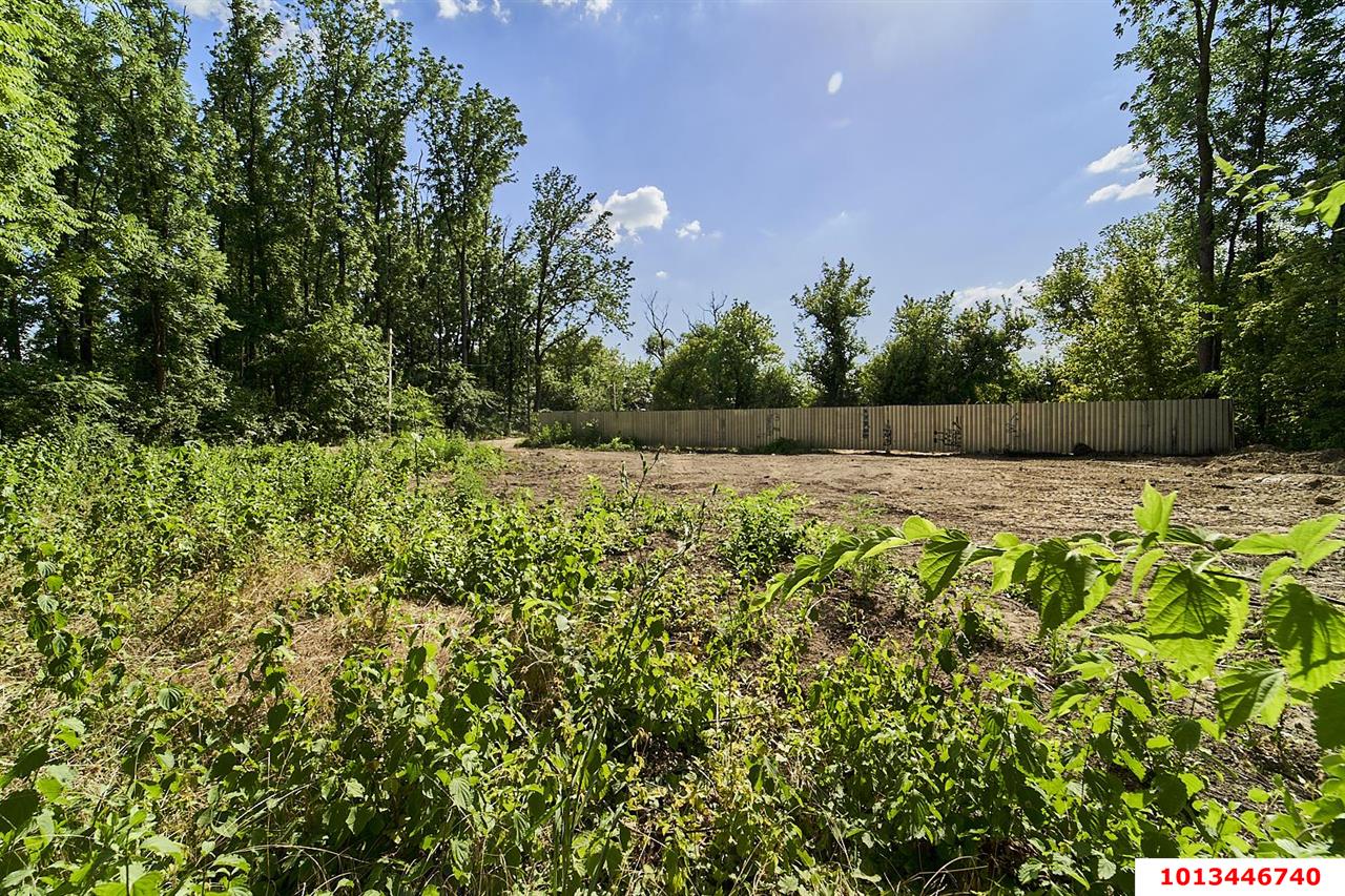 Фото №5: Личное подсобное хозяйство - Виктория, мкр. Прикубанский внутригородской округ, пер. Рыбный, 20