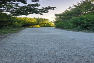 Фото №2: Земельный участок 8 сот. - турбазы Приморская, мкр. территория Турбаза Приморская, 