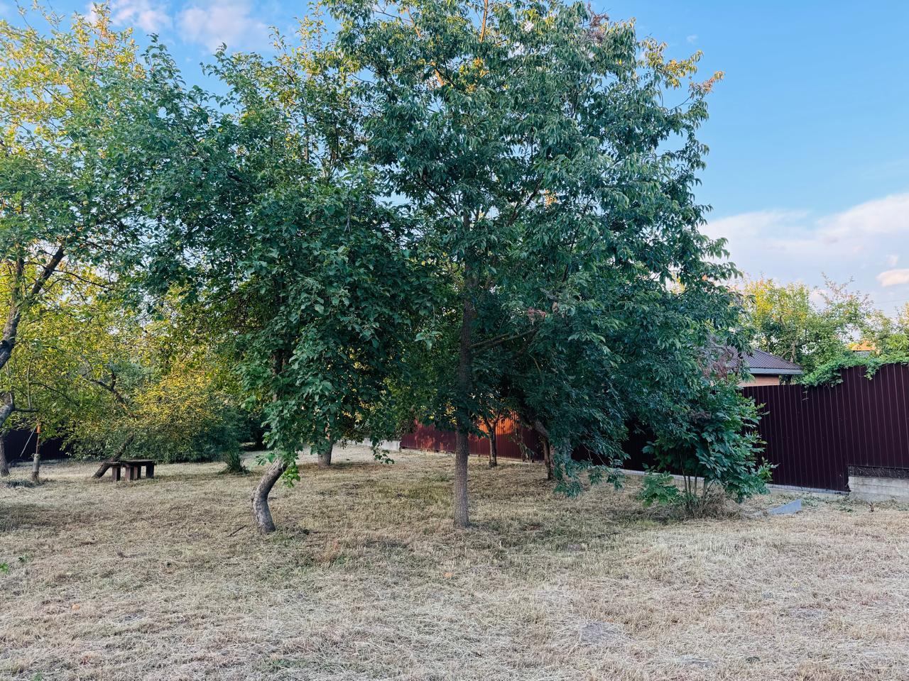 Фото №9: Дом 50 м² + 8.6 сот. - Строитель, ул. Абрикосовая, 20