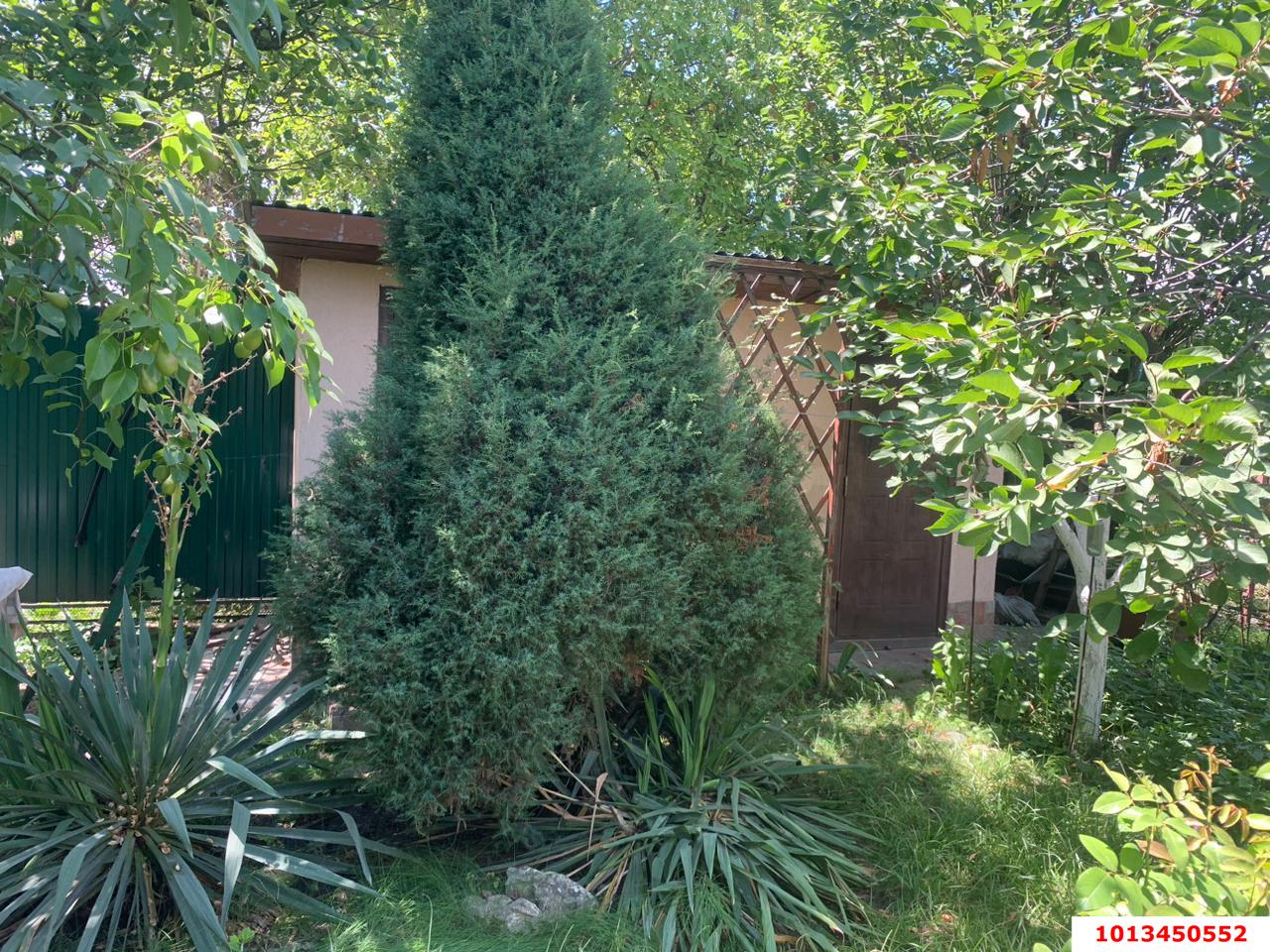 Фото №15: Дом 51 м² + 3.97 сот. - Елизаветинская, Кубань, ул. Яблоневая, 139