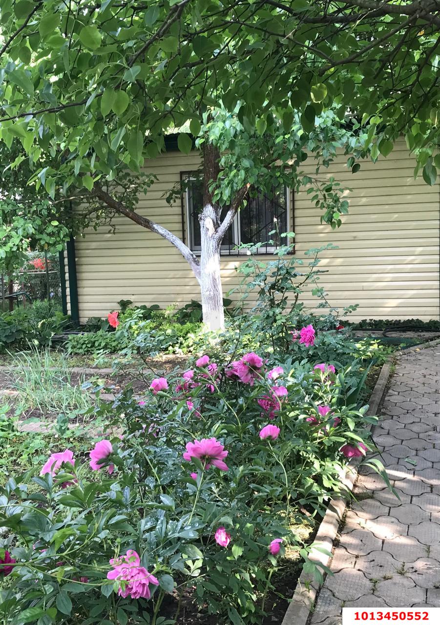 Фото №11: Дом 51 м² + 3.97 сот. - Елизаветинская, Кубань, ул. Яблоневая, 139